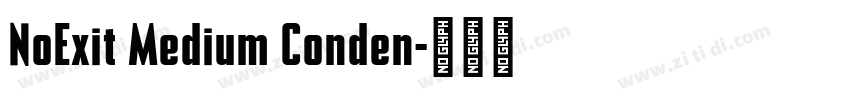 NoExit Medium Conden字体转换
